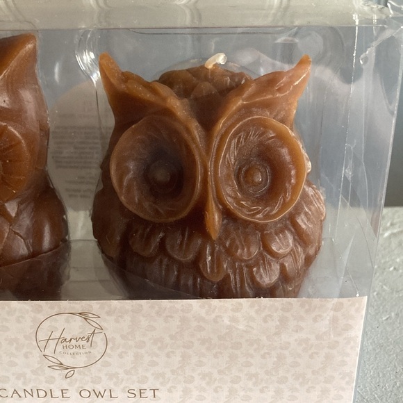 BNIB- 4.7"- Hand Carved- Unscented- 2 Pack- Brown Owl Figural Candles Decor Set - Picture 4 of 17